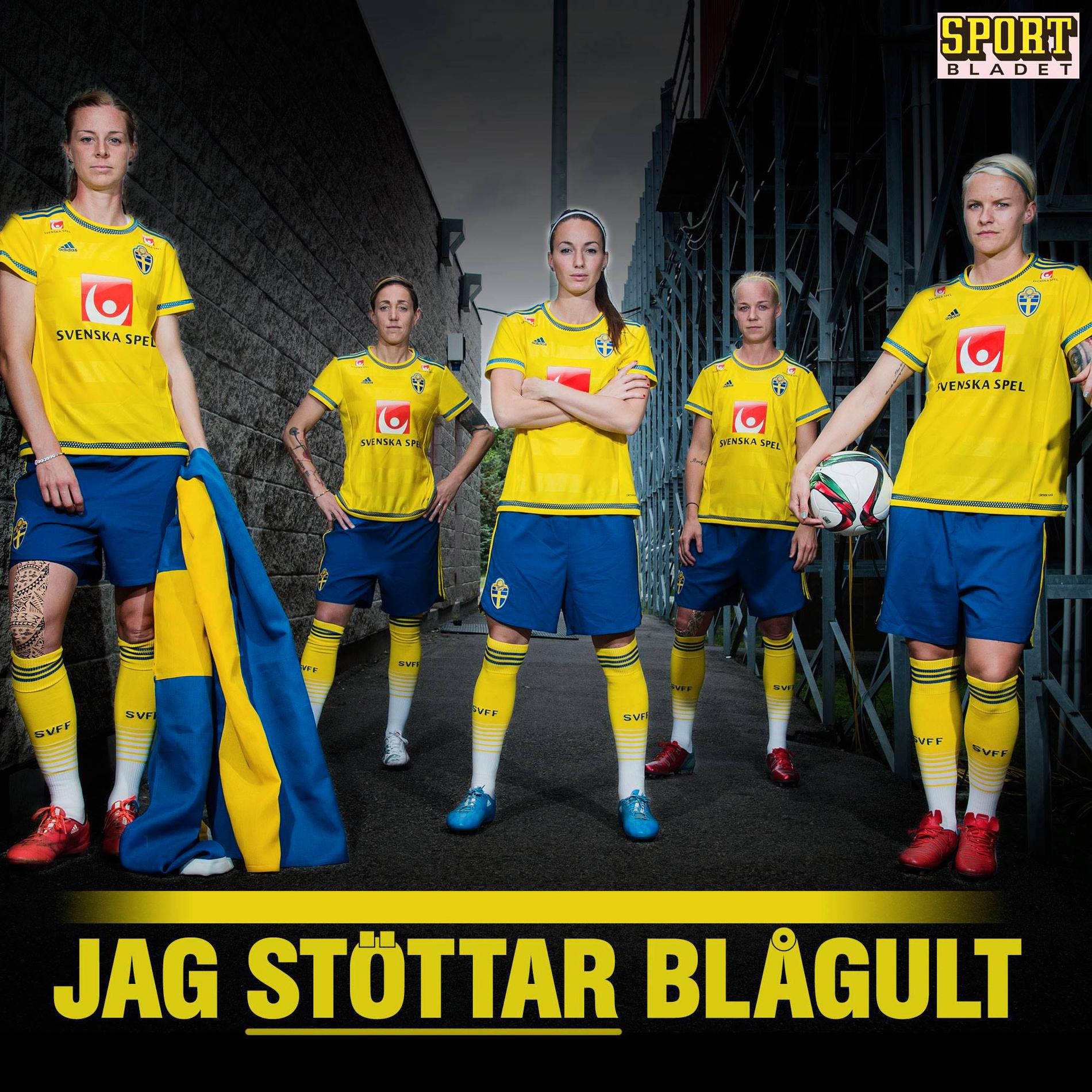 Hjälp oss att visa att nättrollen har fel. Gå in på Sportbladets Instagramkonto eller Facebooksida och dela den här bilden och visa att landslaget har svenska folkets stöd.