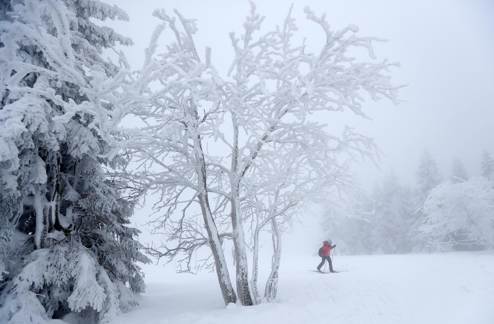 En kvinna åker skidor i Tjeckien, som haft så kalla temperaturer som minus 34 grader.