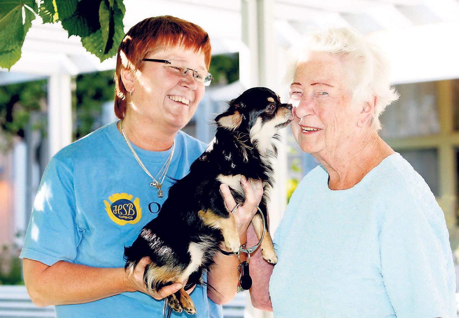 Lyckad jycke ”Mina chefer vill ha in djur i verksam­heten”, säger Sussi Björklund. Här står hon med Ingrid Sigfridsson och hunden Julle.