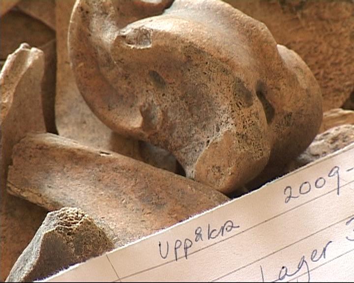Arkivbild. Fynd från de arkeologiska utgrävningarna i Uppåkra.
