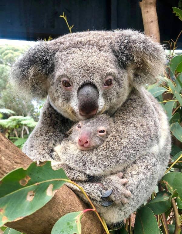 Mamma Rosie håller hårt i sin nyfödda bebis. 