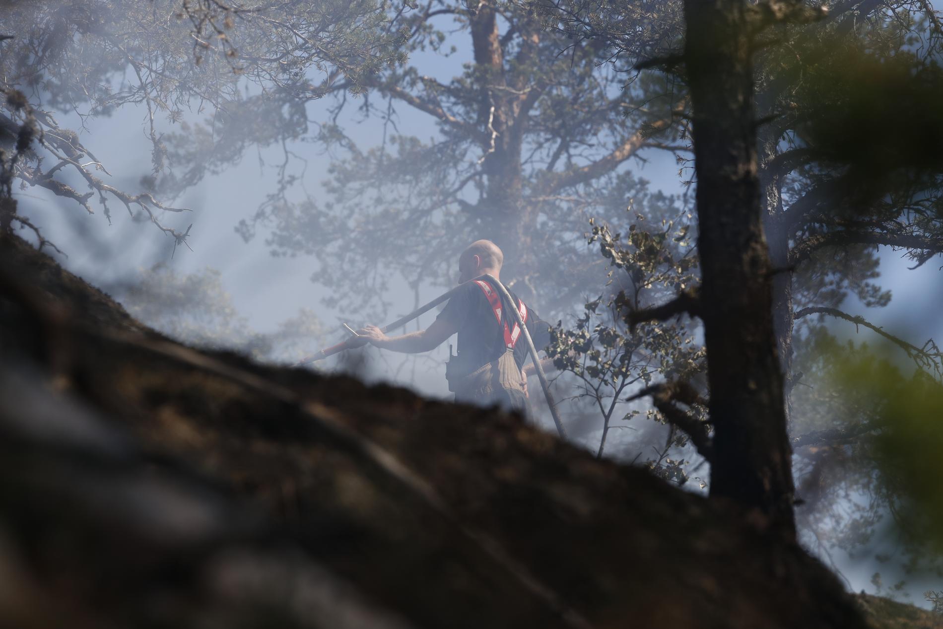 Ett stort räddningspådrag arbetar med en omfattande skogsbrand i Nynäshamns kommun.