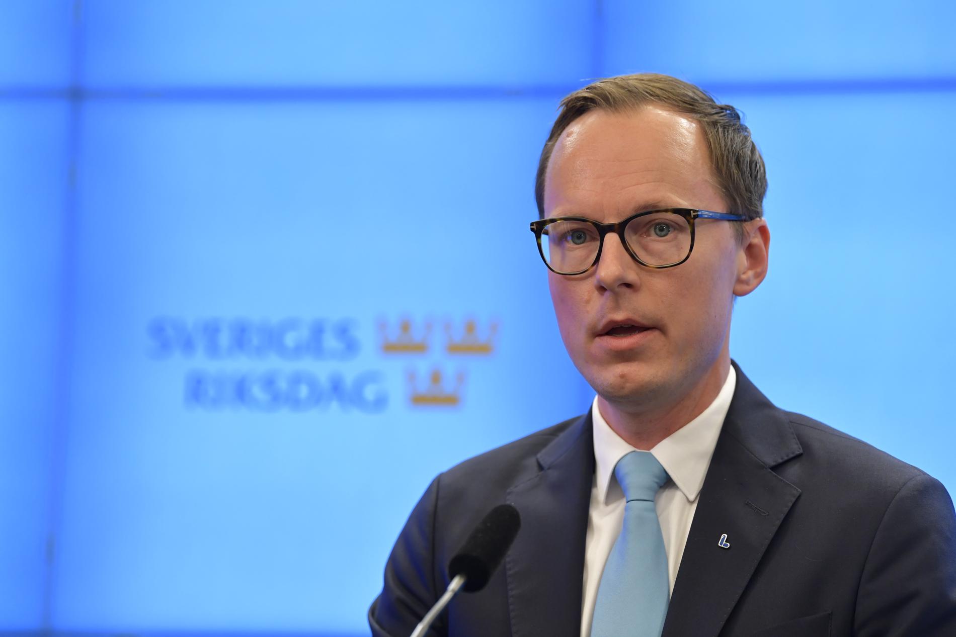 Liberalernas ekonomiskpolitiske talesman Mats Persson. Arkivbild.