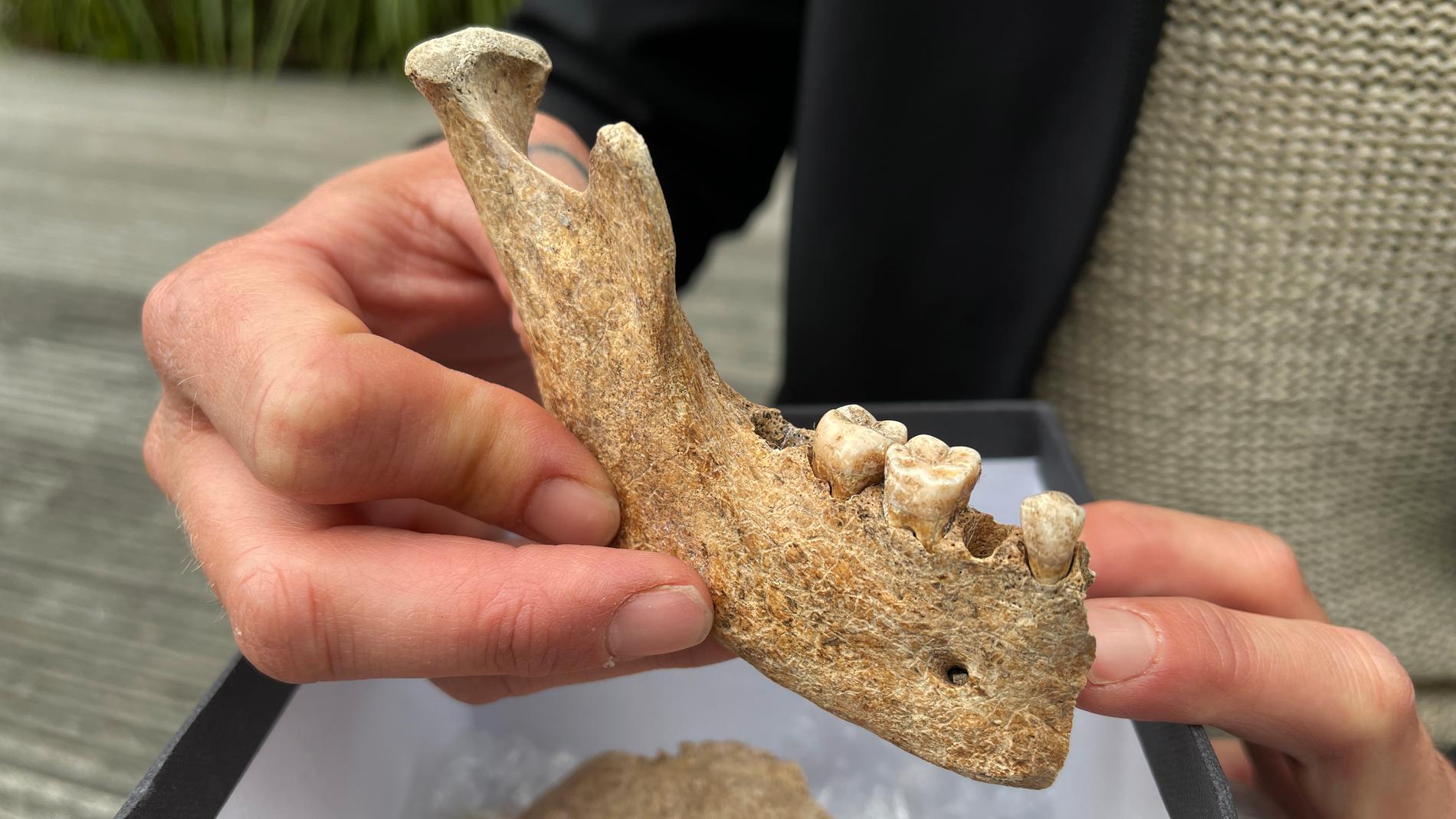 Skelettdelar som hittades i en villaträdgård i Hunnebostrand visade sig vara från vikingatiden – något som är ovanligt, enligt experter.