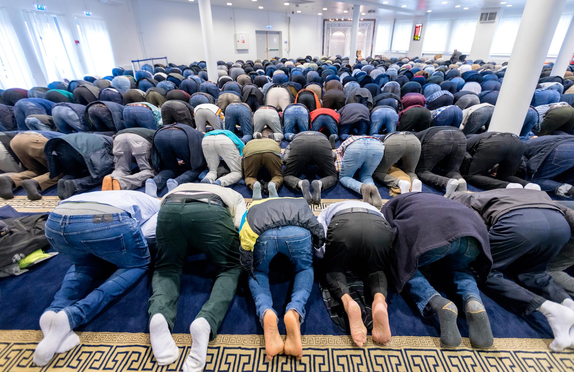 Muslimer under en fredagsbön i Islamic Cultural Centre i Oslo. En ny studie visar att muslimer födda i väst stödjer extremism i större utsträckning än muslimer som är uppvuxna på annat håll. Arkivbild.
