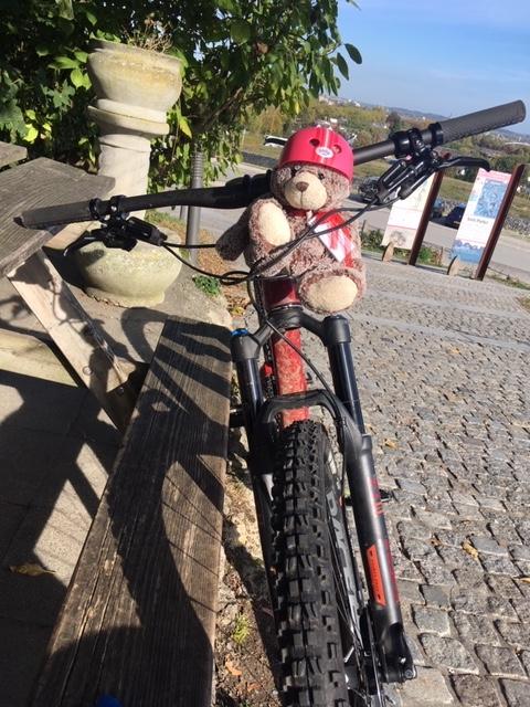 Bo-Boo på en cykeltur i Nederländerna.