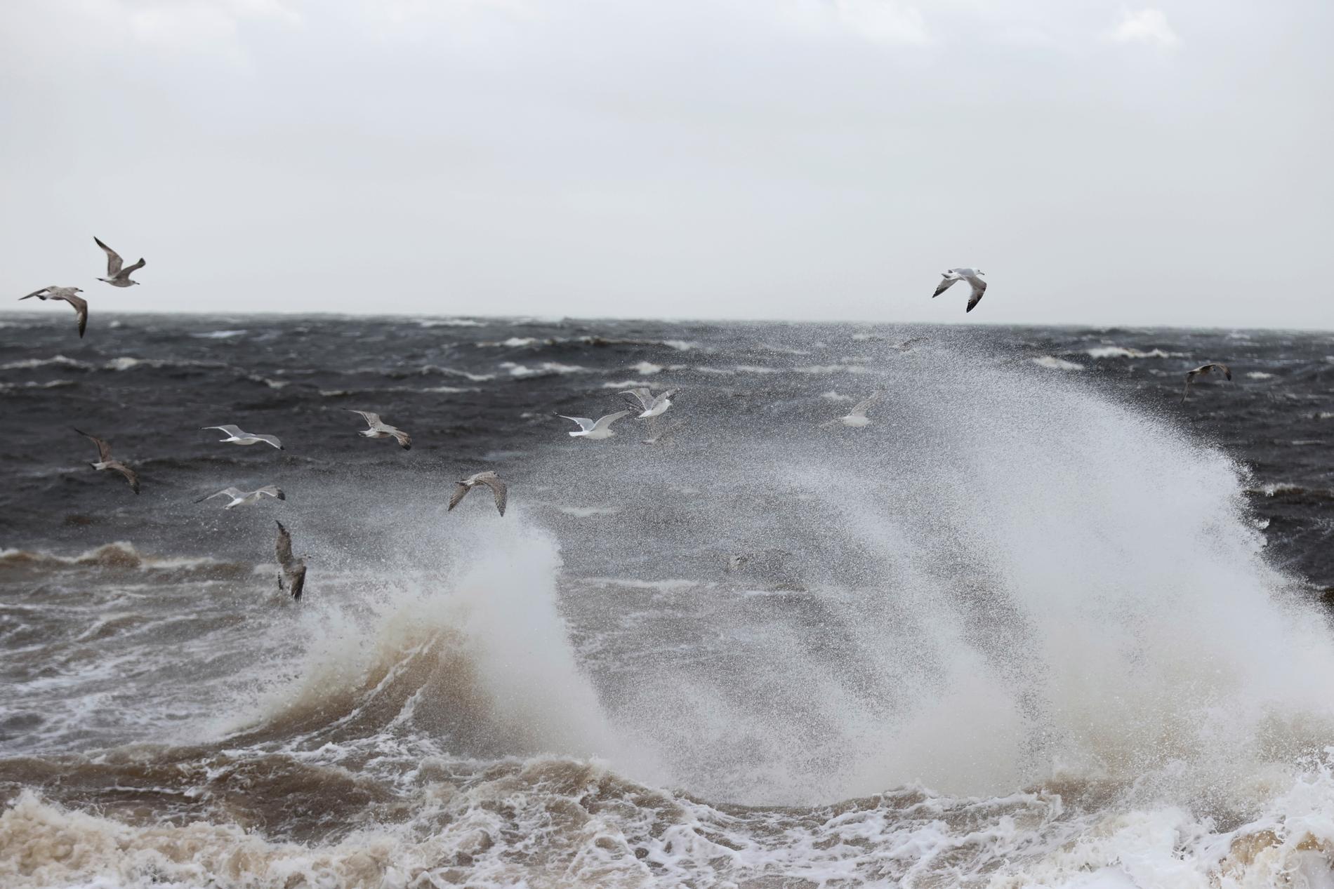 SMHI har utfärdat varningar för starka vindar och det blir blåsigt de närmaste dagarna.