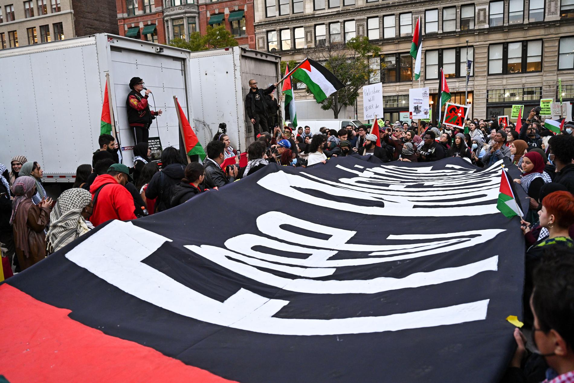 Susan Sarandon på en Palestina-demonstration.