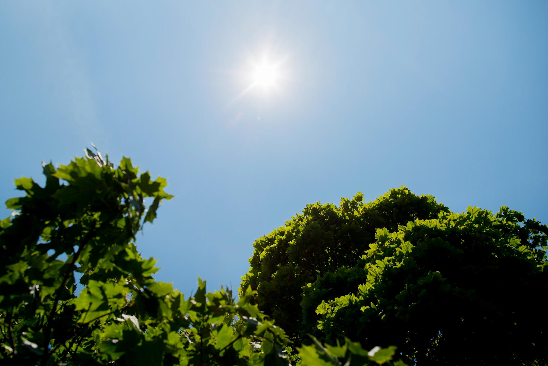Solen gör en liten comeback, säger meteorolog Mikael Sjöstrand.