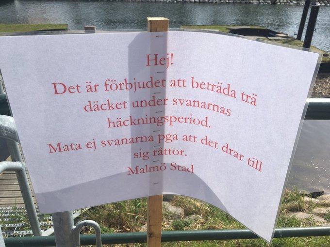 Tillträde förbjudet. Malmö stad har stängt av platsen och satt upp skyltar, för att skydda det nya paret.