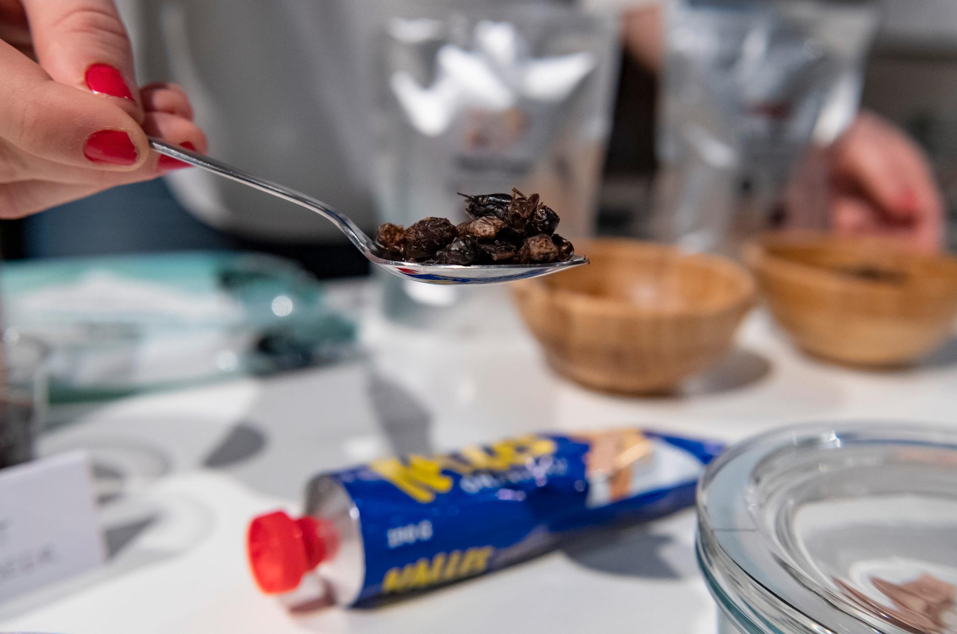 Gräshoppor och Kalles kaviar på avsmakningsbordet på Disgusting Food Museum.