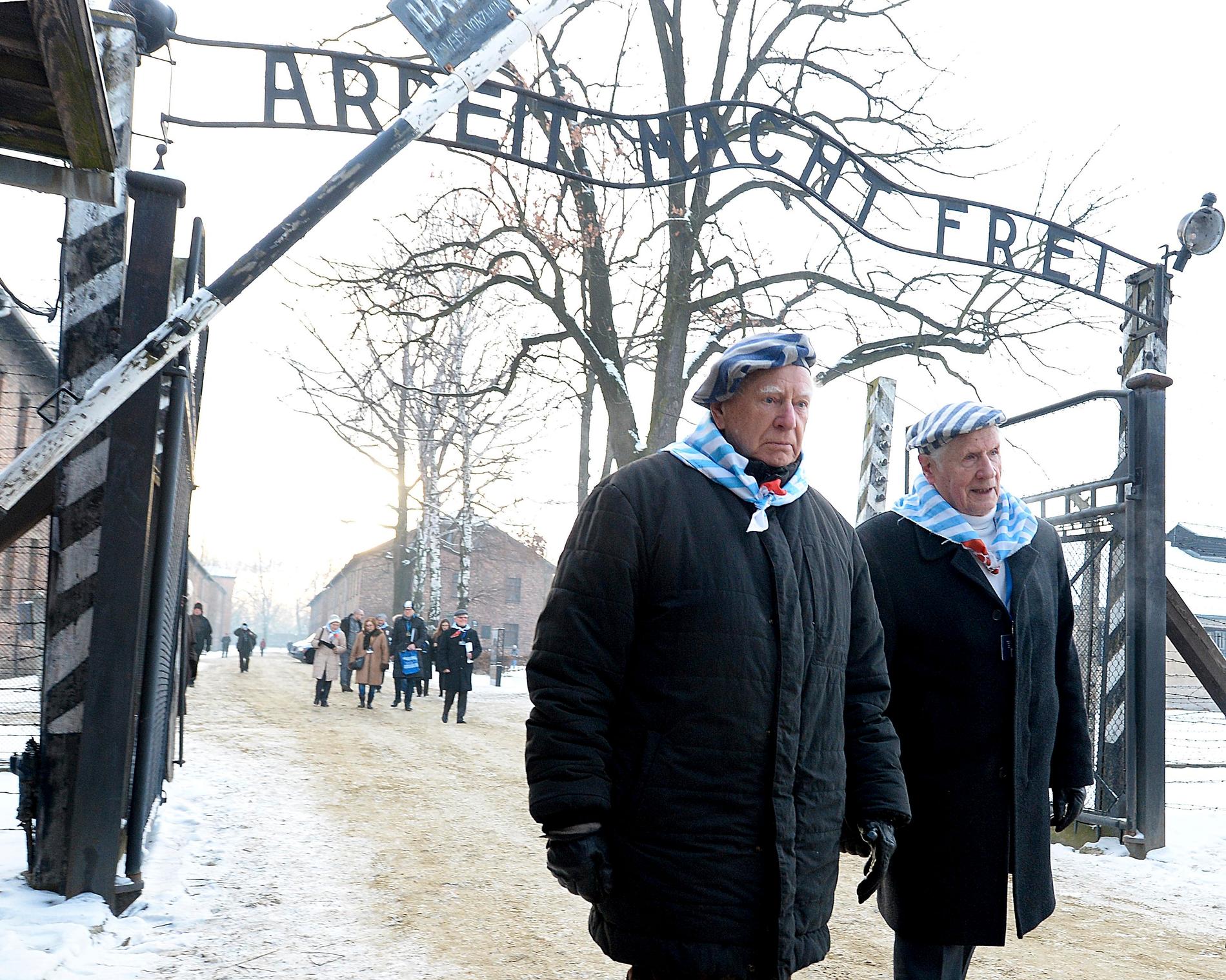 Auschwitzöverlevare samlades i det tidigare koncentrationslägret på 74-årsdagen av dess befrielse.