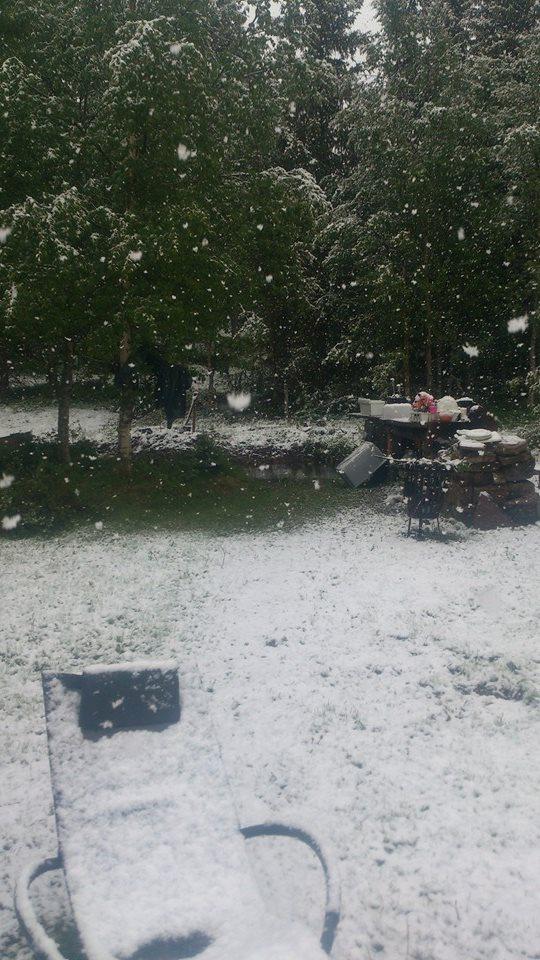 DECEMBER? I almanackan står det 27 juni men i Storbäcken i norra Dalarna faller snön.