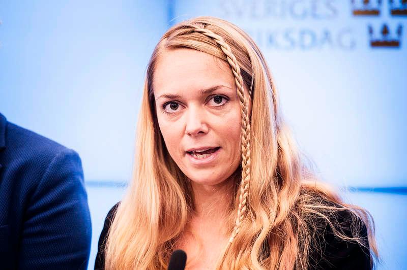 Johanna Jönsson, riksdagsledamot