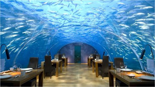 ITAHAA UNDERSEA RESTAURANT På exklusiva Conrad Resort på Rangali Island i Maldiverna finns restaurangen Ithaa, som ligger på fem meters djup i Indiska oceanen. Den spektakulära krogen kostade över 30 miljoner kronor att bygga och tar bara tolv gäster.