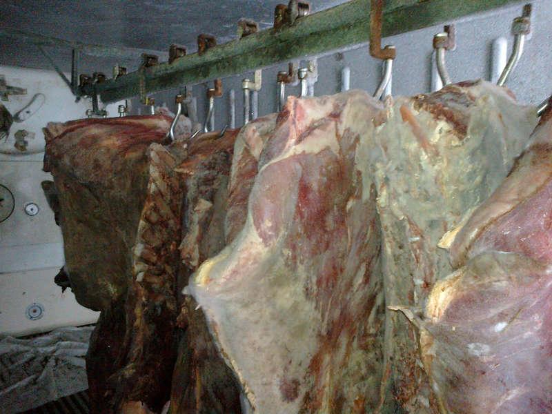 fem ton köttSex fyllda fryscontainrar hittades på gården där 69 djur försvann. Nu säger en poliskälla att man misstänker att korna försvann tidigare än vad man först trodde. ”Korna fördes till södra Sverige, där de slaktades på ett svartslakteri”, säger källan.