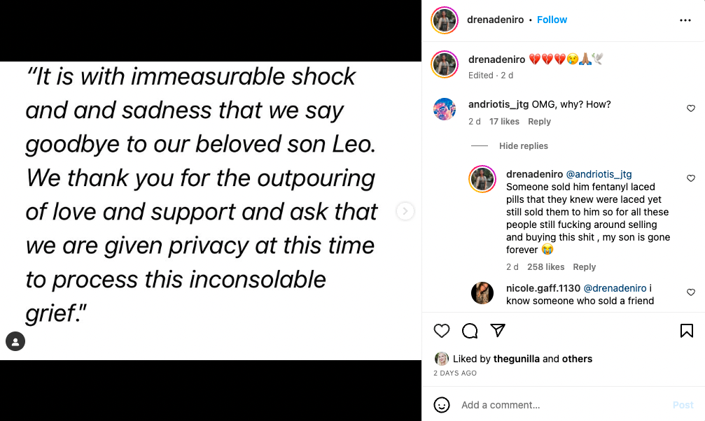 Drena De Niros kommentar på Instagram.