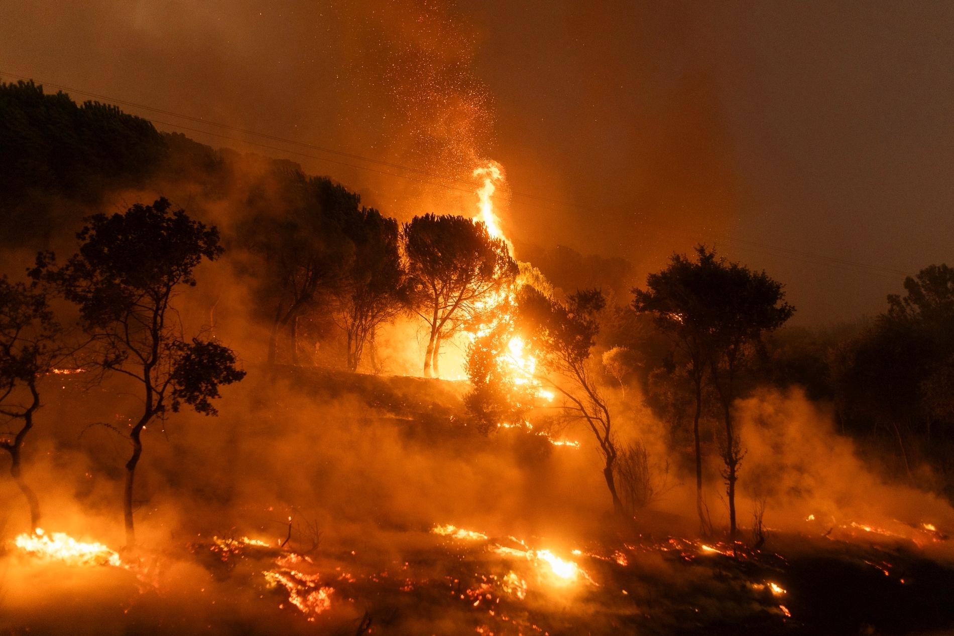 Skogsbränderna rasar fortfarande Grekland.