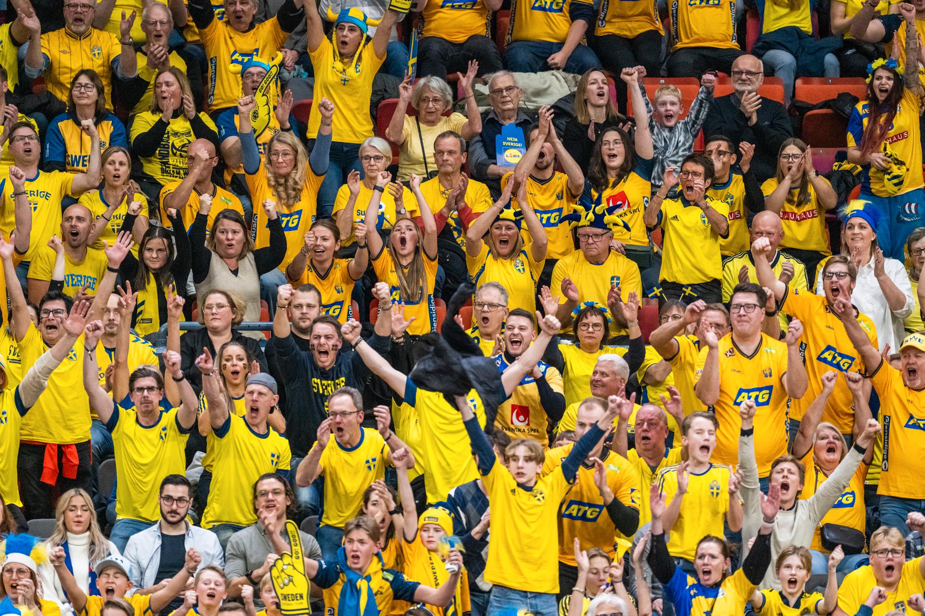 Svenska fans under matchen mot Island. 