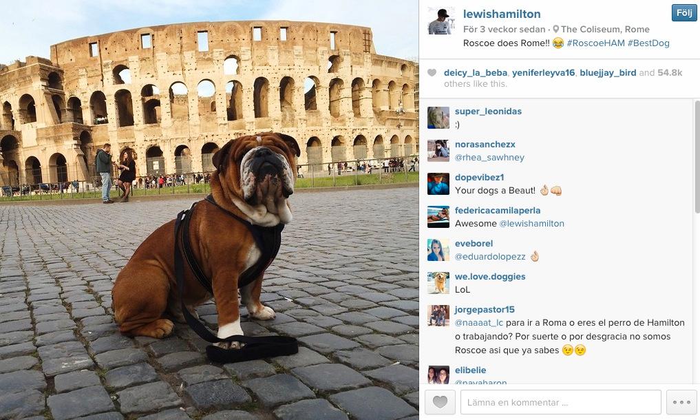 Bulldogen fick följa med till Rom och ett fotostopp utanför Colloseum. FOTO: INSTAGRAM
