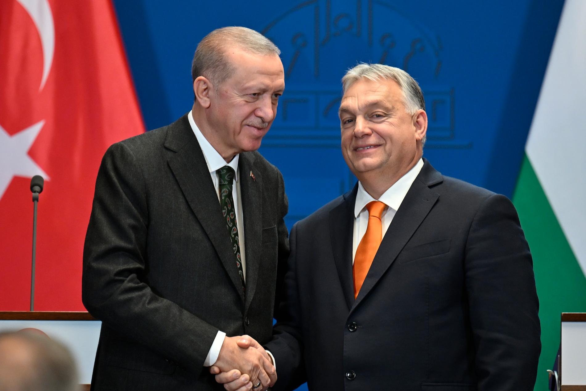 Erdogan och Orbán. 