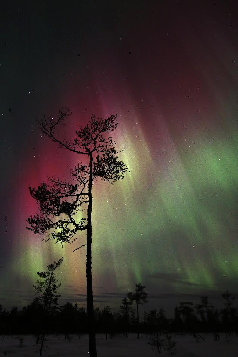 Sent i måndags kväll lyste ett norrsken upp himlen utanför Lycksele. Henrik Wahlberg förevigade det med sin kamera.