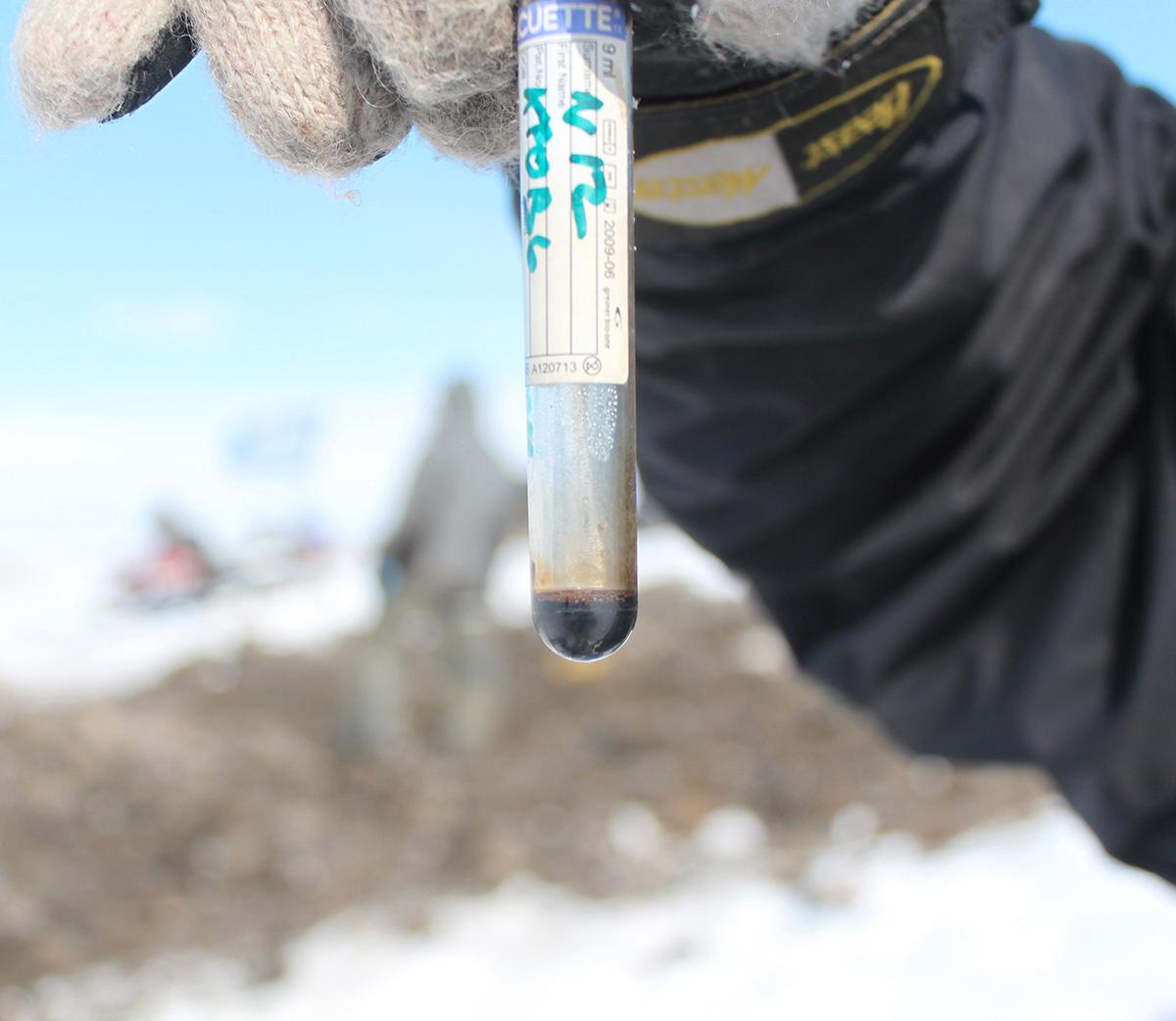 Forskarna hittade blodet i is men trots det hade det inte fryst. Något de tror kan ha hållit djuren varma.