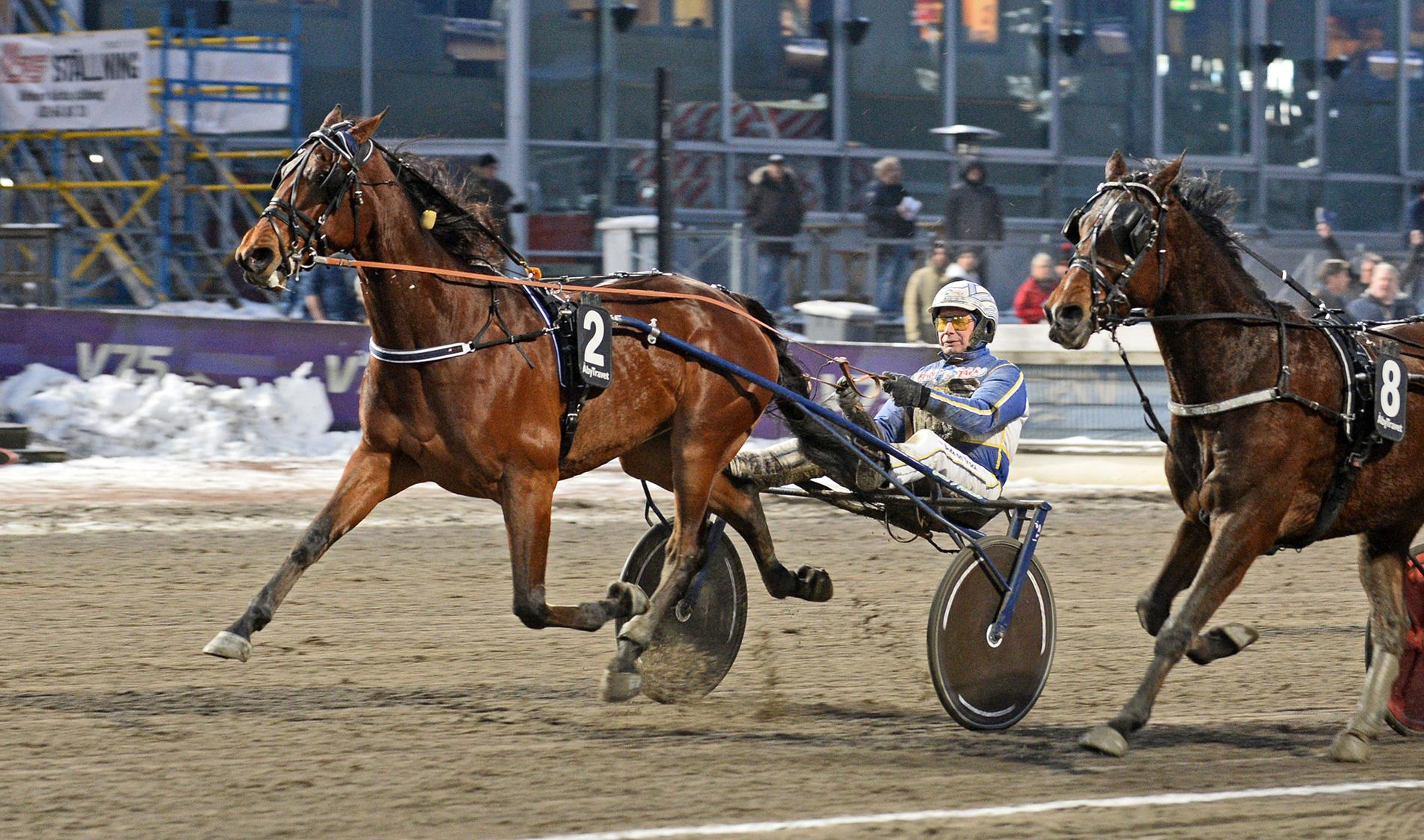 Sportbladets Casper Hedberg spikar Victory Topline på V86