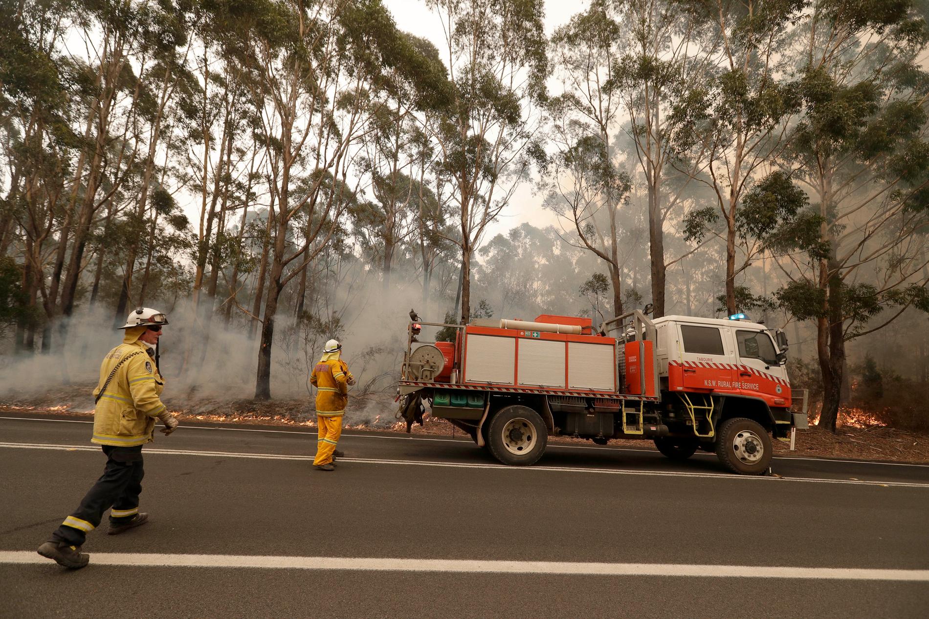 Lägre temperaturer ger lite andrum åt brandbekämparna som här i Burrill Lake i sydöstra NSW.