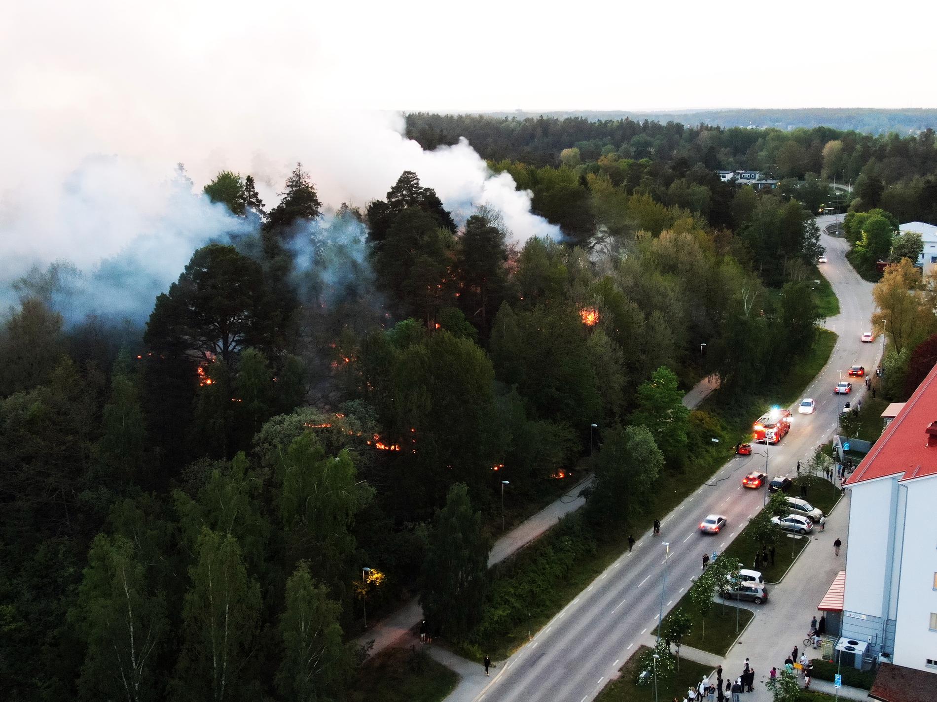 Under kvällen bekämpade brandförsvaret en skogsbrand i Norsborg.