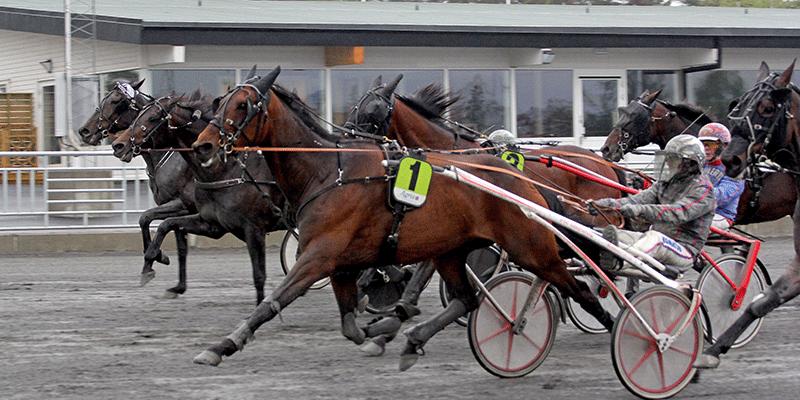 Ulf Ohlsson tog seger 6 000 med hästen Vien Ici när Johan Andersson vann tre miljoner på Top 7