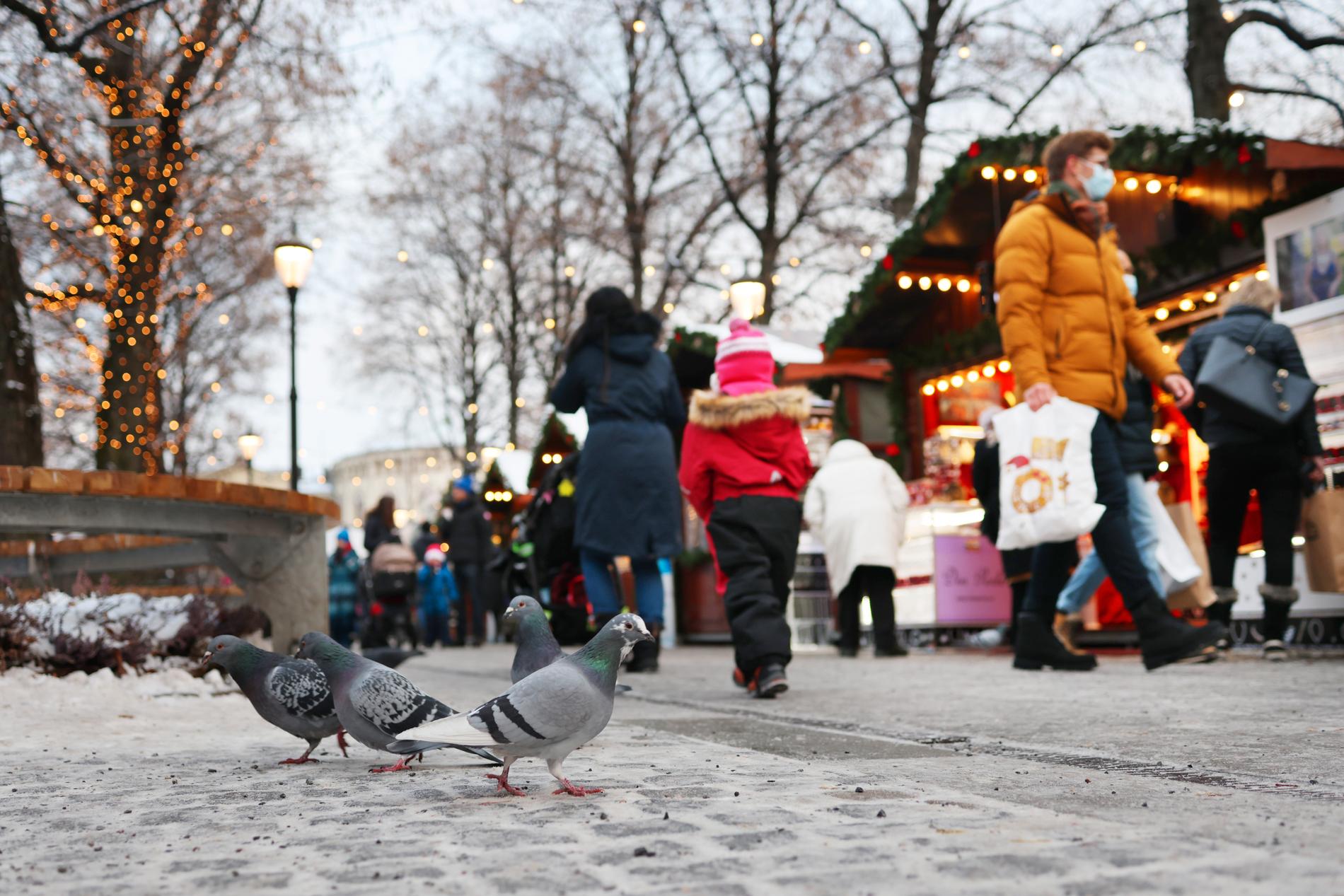 Julmarknad i Oslo.