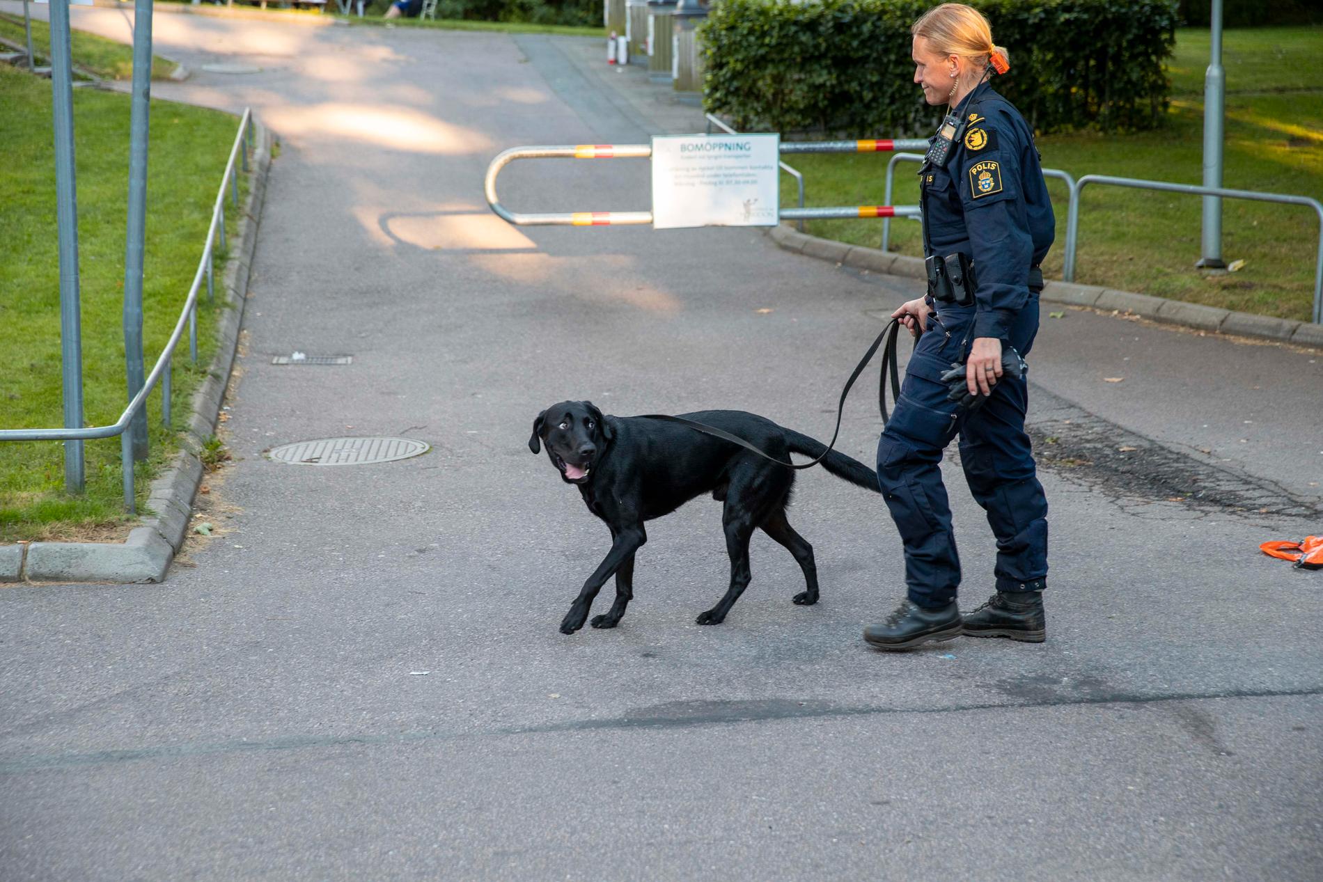 Flera gånger den senaste tiden har kriminella upprättat vägspärrar i Angered i nordöstra Göteborg. Polisen har svarat med ökad närvaro.