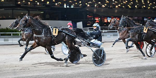 Åke Lindblom och Nail’em chockade V86-spelarna, en häst som var given på Emmas miljonkupong. 