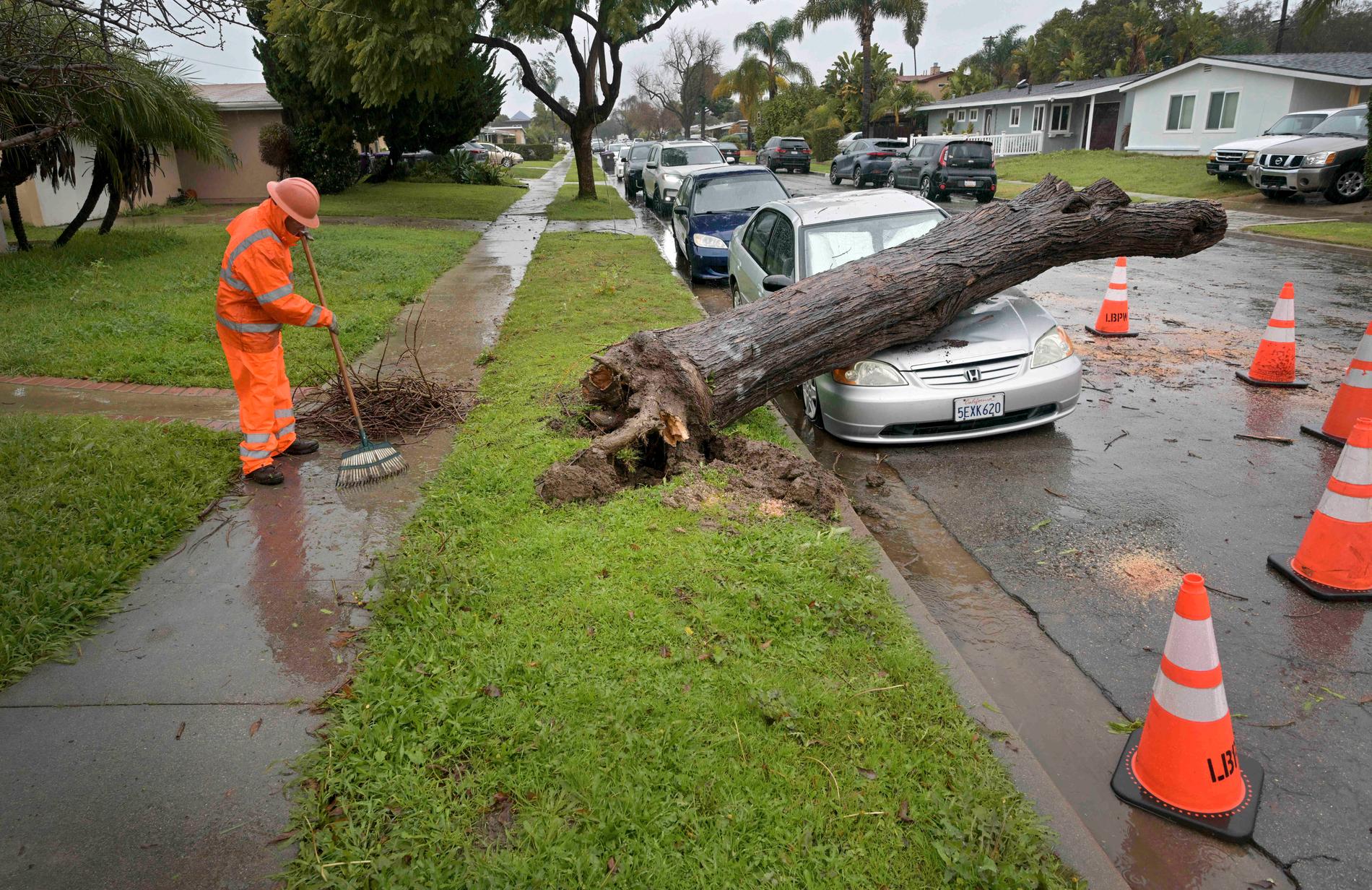 Bilar har förstörts av fallande träd, här i Long Beach. 
