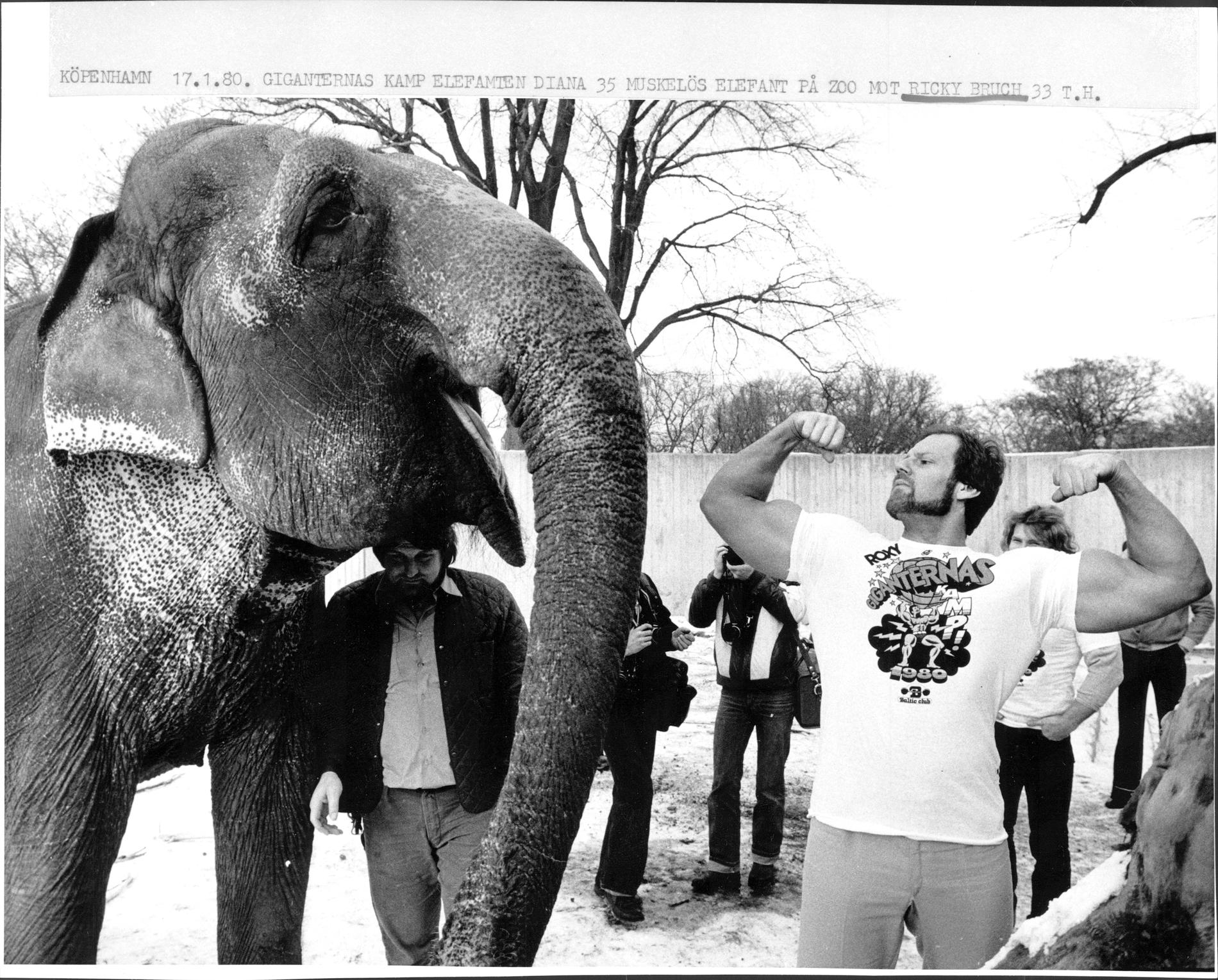 Tillsammans med en elefant 1980.