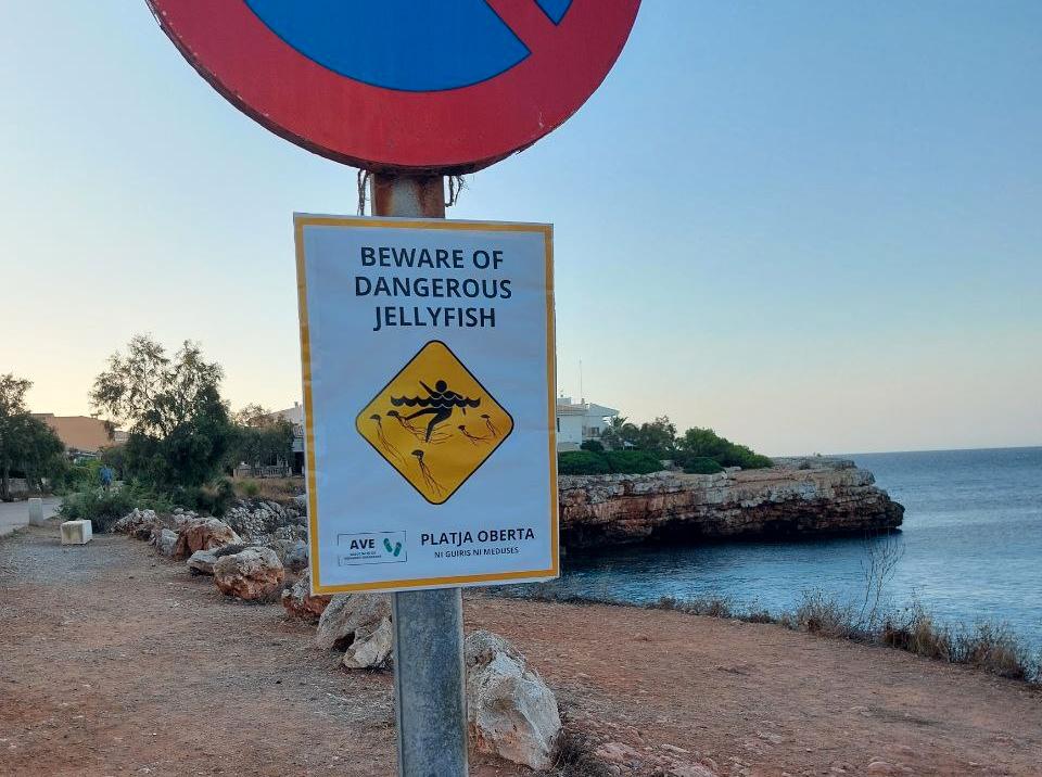 Varning för farliga maneter. På katalanska står det nedantill ”Öppen strand, inga sjöborrar eller maneter”. Sjöborrar, eller guiris används ofta som ord för oönskade turister.