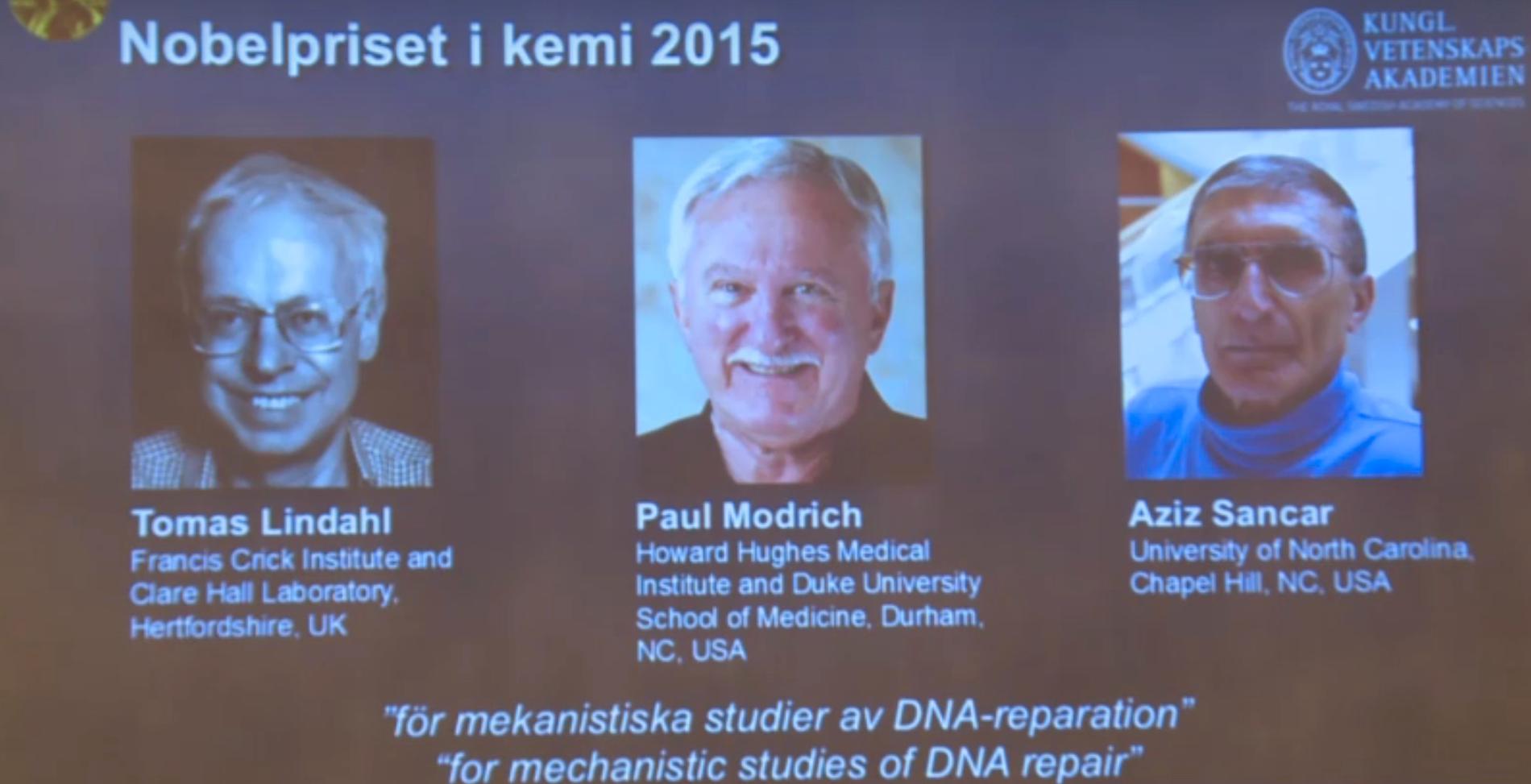 Trion som får dela på årets Nobelpris i kemi.