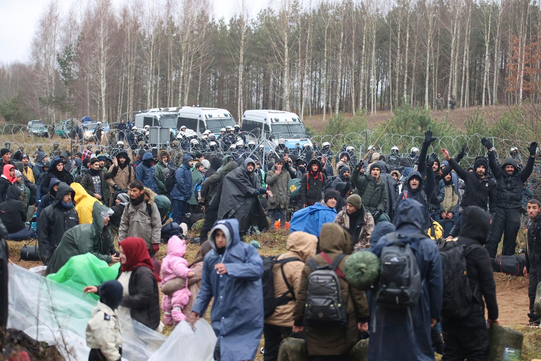 Hundratals migranter befinner sig vid gränsen mellan Polen och Belarus. Den polska regeringen har skickat tusentals soldater till området för att säkra gränsområdet.