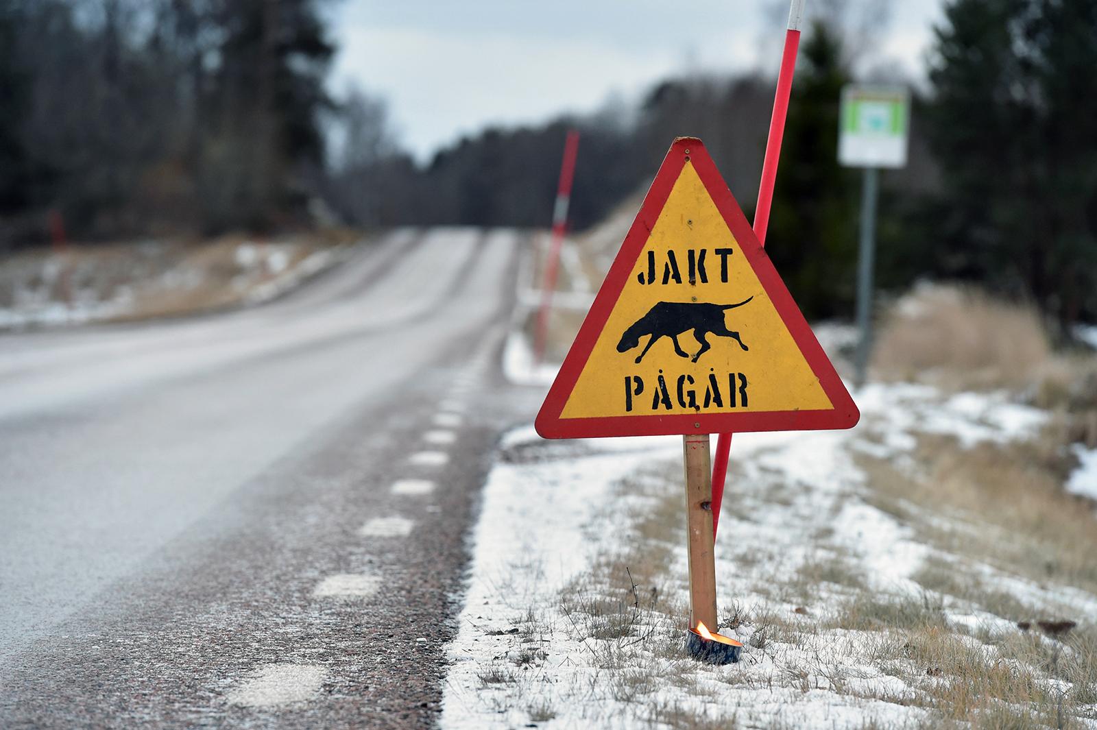 En viltolycka med vildsvin inträffade under lördagsmorgonen på väg 224 mellan Lästringe och Gnesta.