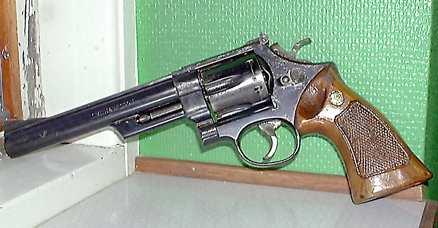 En virkeshandlare i Borlänge hittade en revolver i Mussjön 1983. Han sålde vapnet till Sigge Cedergren, som sa att han lånat ut ett vapen till Christer Pettersson.Foto: DALA-DEMOKRATEN