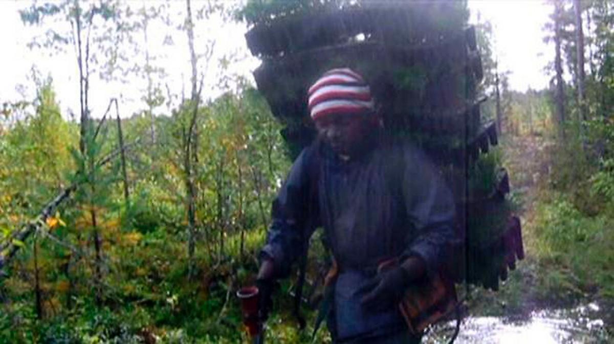 När Uppdrag granskning avslöjade att kamerunska skogsarbetare skinnades av ­sina svenska arbetsgivare blev de en symbol för hur maktlösa människor exploateras.