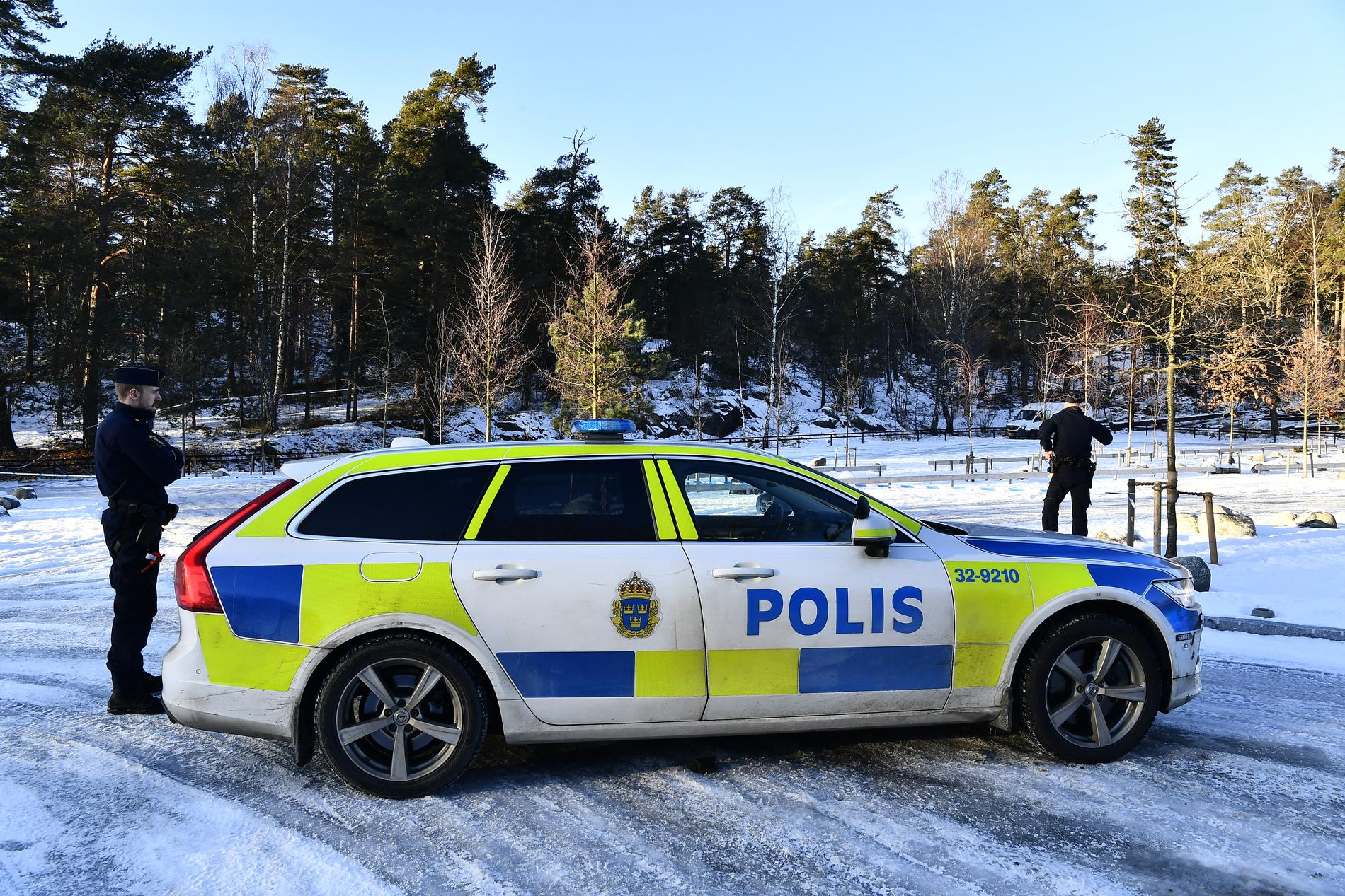 En kvinna och ett barn har hittats döda i en bil i södra Stockholm.