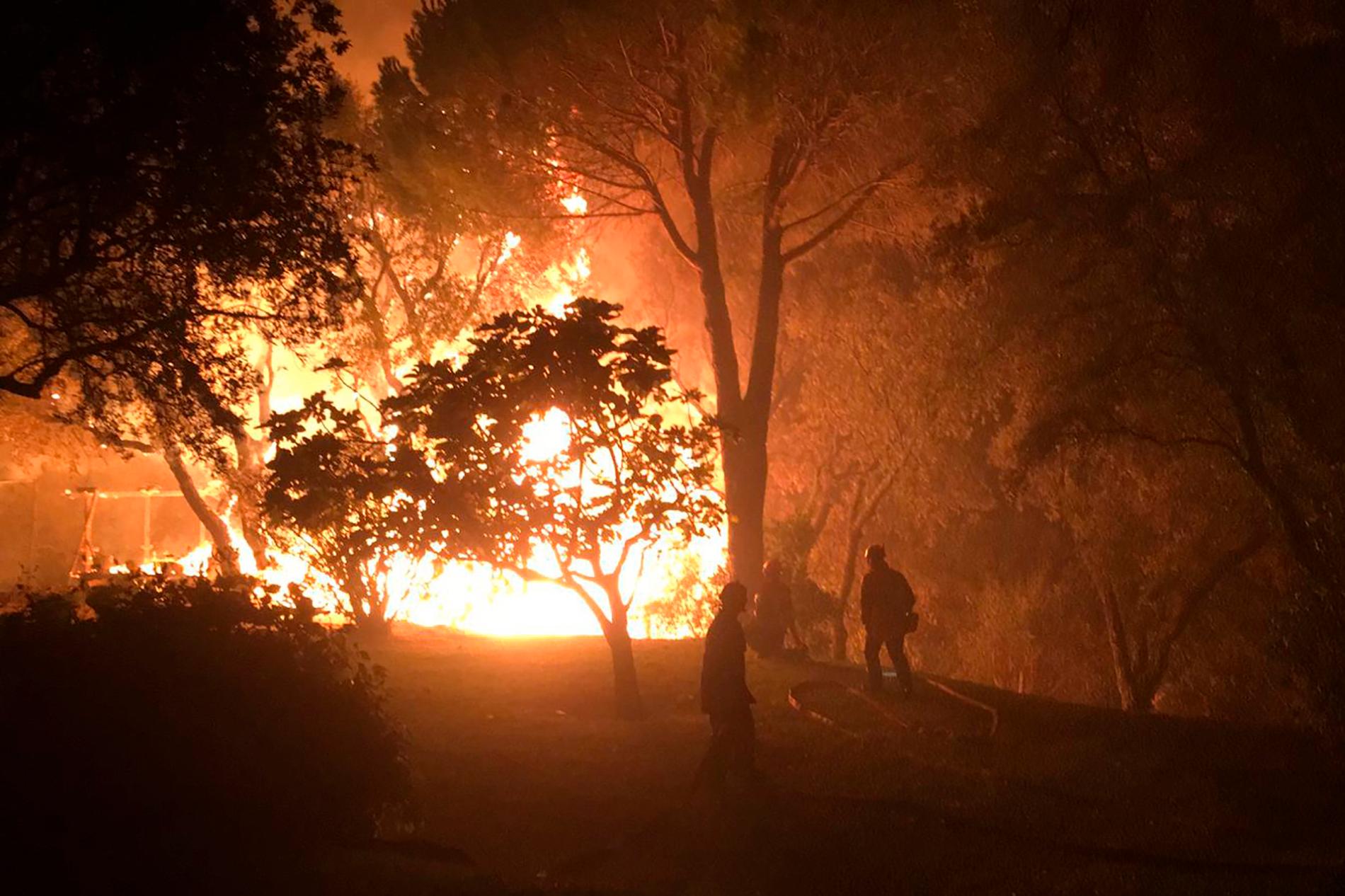 Brandmän kämpar mot elden i närheten av Toulon, Frankrike.
