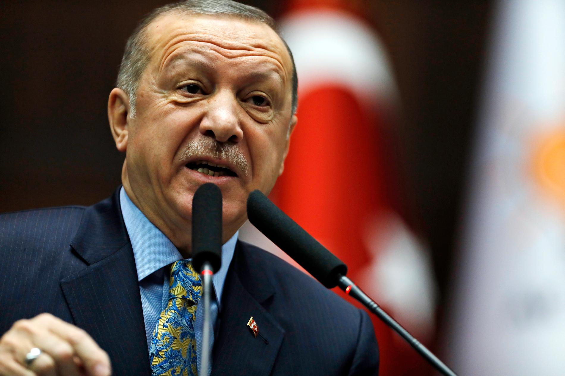 Enligt Turkiets president Recep Tayyip Erdogan ska landet upprätta en säker zon i norra Syrien.