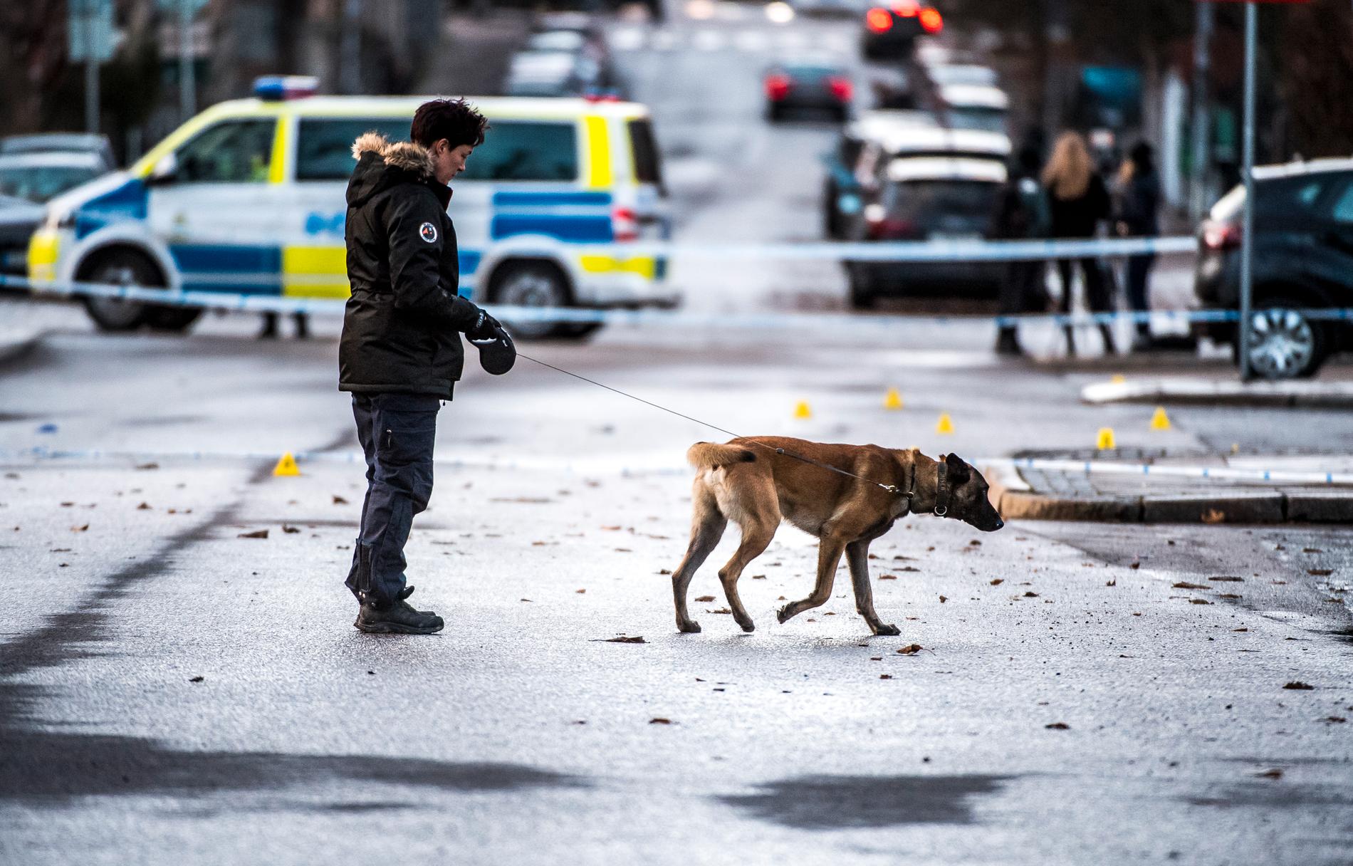 Polisen sökte igenom området med hundar och drönare, enligt Aftonbladets uppgifter.