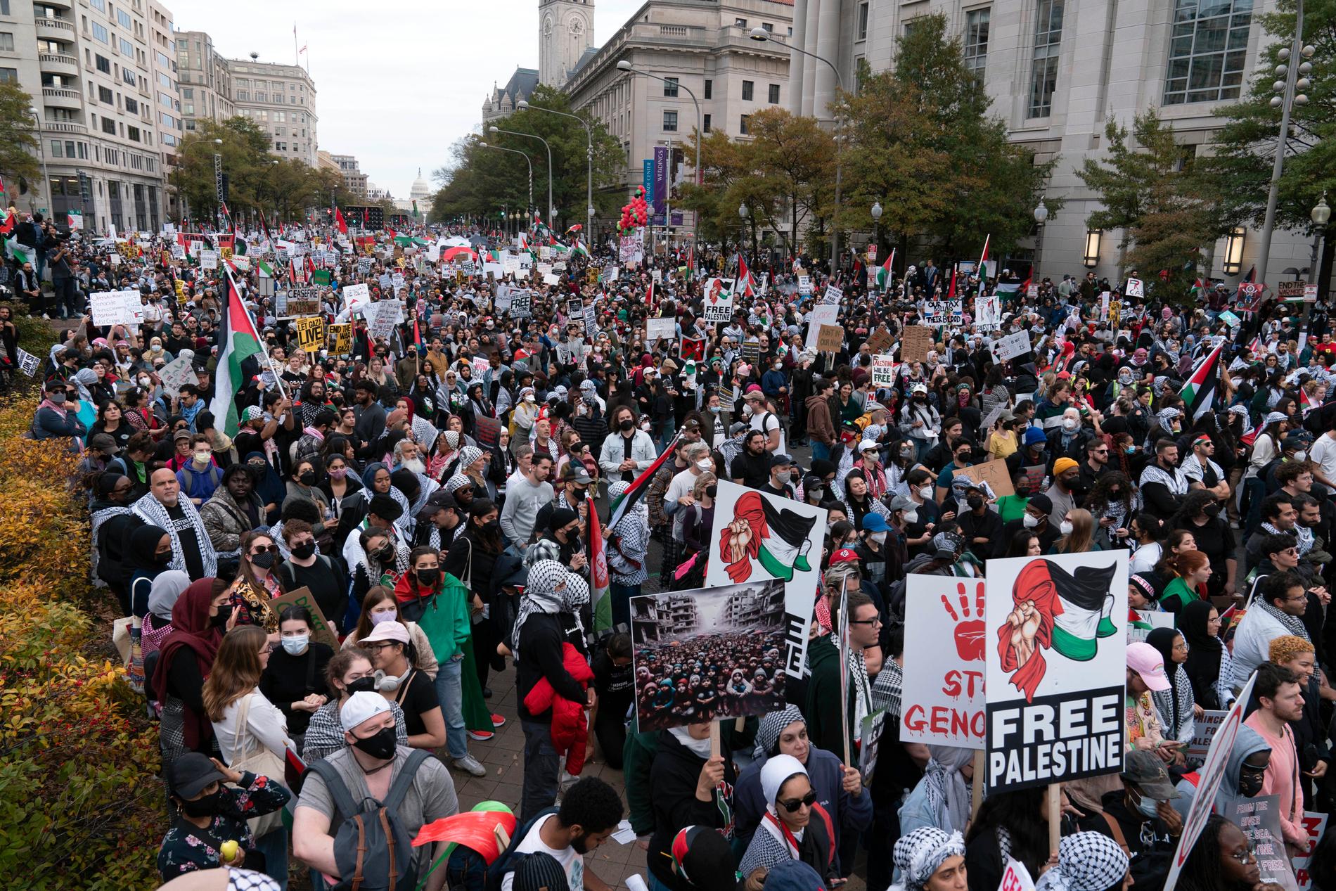 Kanske håller en ny antikolonial, antirasistisk fredsrörelse med Palestina i fokus på att växa fram i USA, skriver Helena Hägglund. Bilden från en demonstration i Washington.