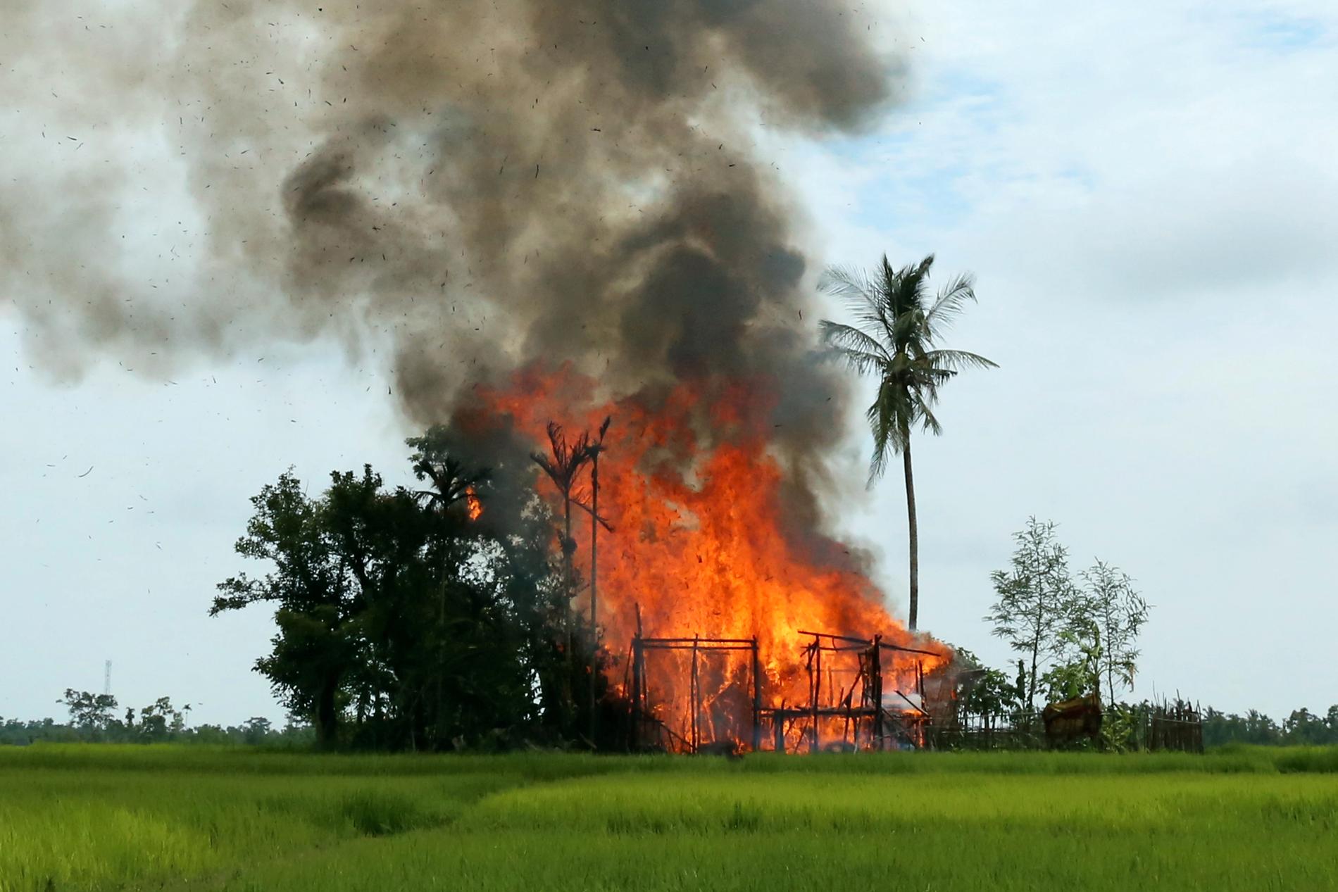 Ett brinnande hus i byn Gawdu Tharya i Rhakine
