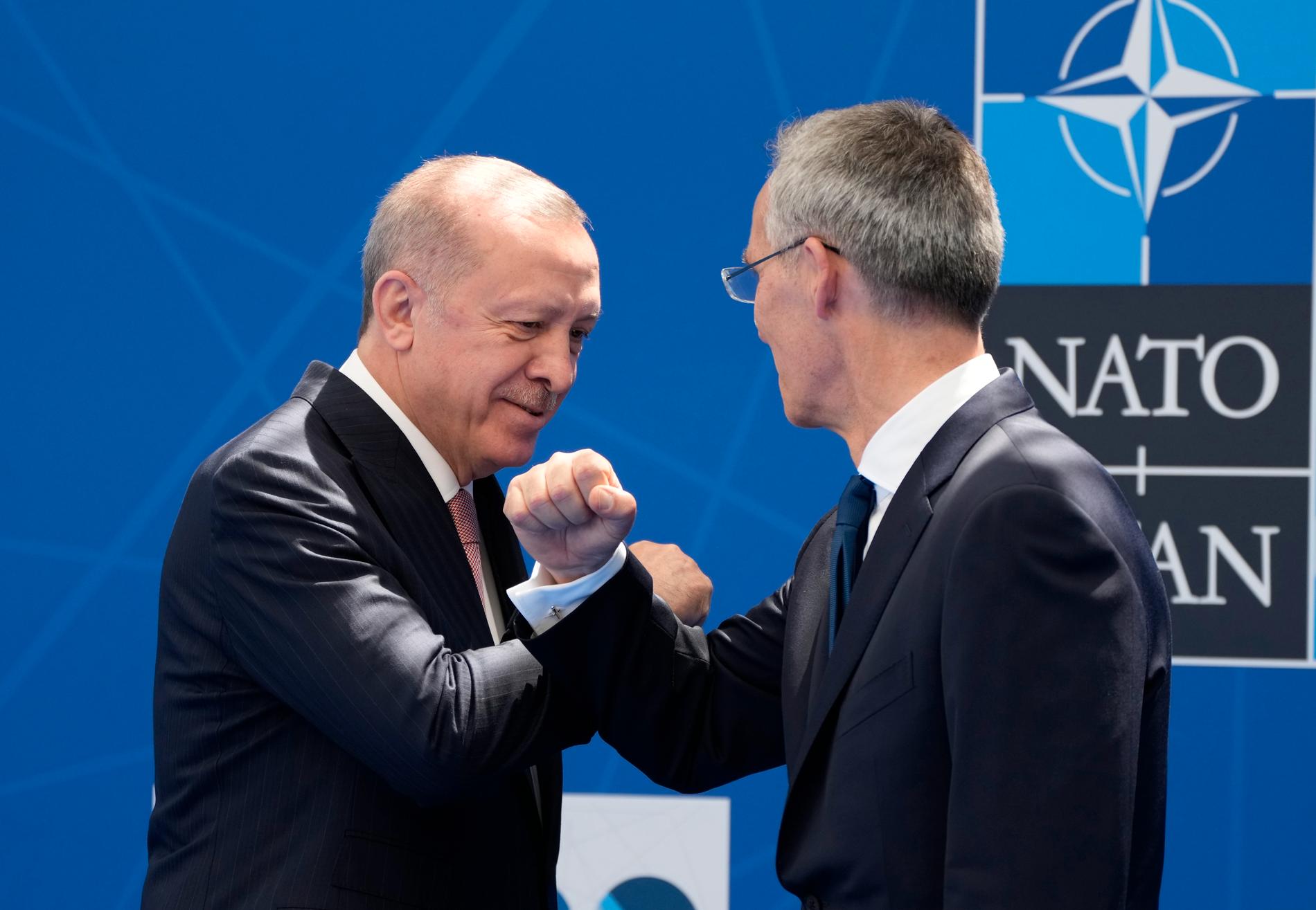 Jens Stoltenberg och Recep Tayyip Erdogan i en bild tagen förra sommaren.