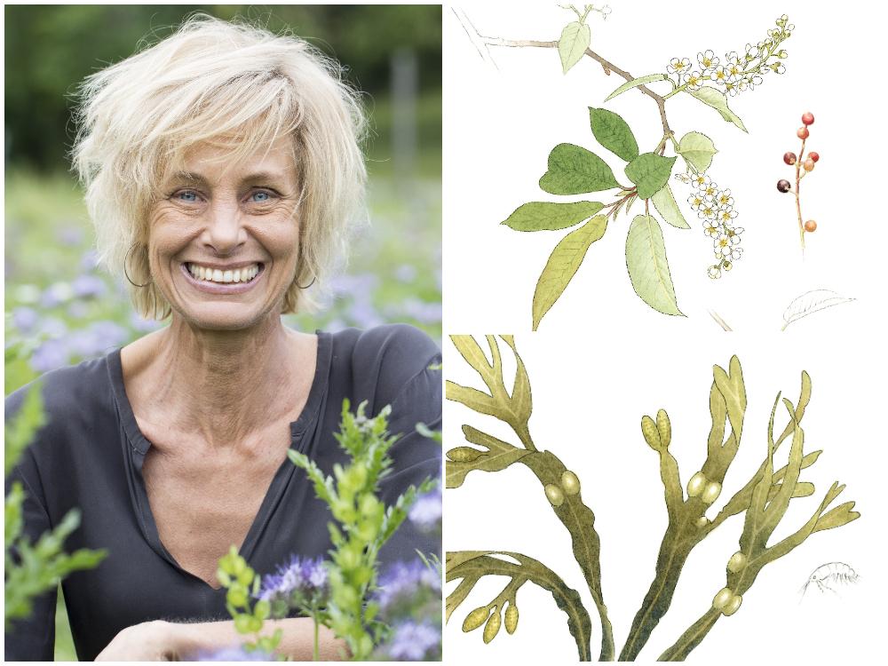 Lisen Sundgren tipsar om ätbara växter.
